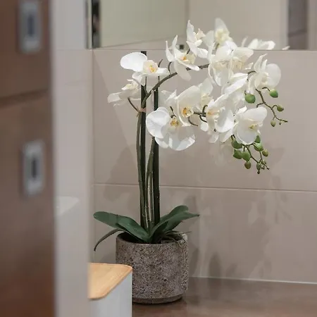Cosy With Parking In The Centre By Renters 아파트